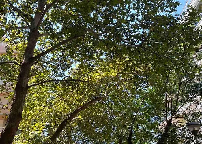 Chic & Cozy 公寓 塞萨洛尼基